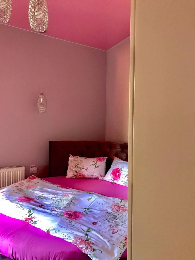 Sweet Pink By Miro Apartment Sinaia Exterior foto