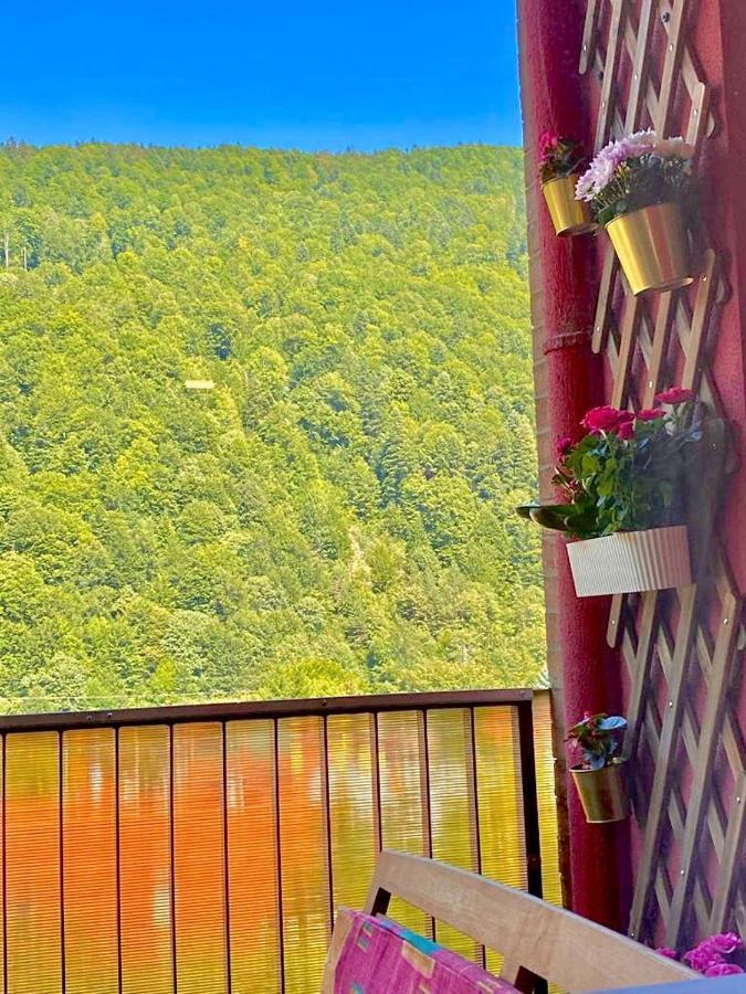 Sweet Pink By Miro Apartment Sinaia Exterior foto