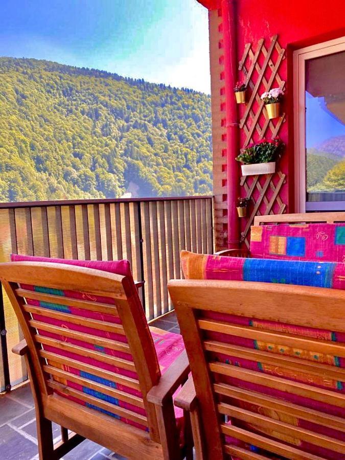 Sweet Pink By Miro Apartment Sinaia Exterior foto